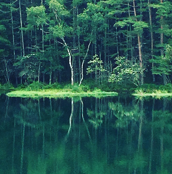 【庭旅】信州　神秘の湖と苔の森　The garden travel in Shinshu