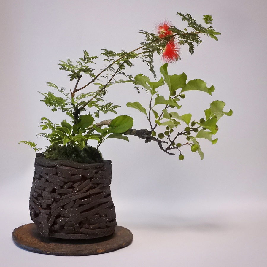 【植物装飾】鉢 for Plants Freak @ここ滋賀